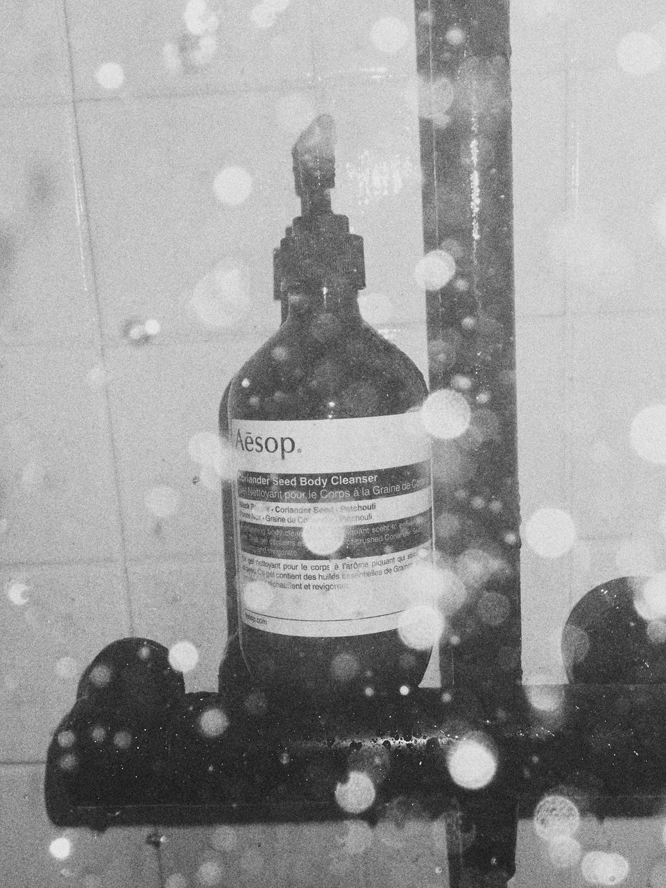 Aesop