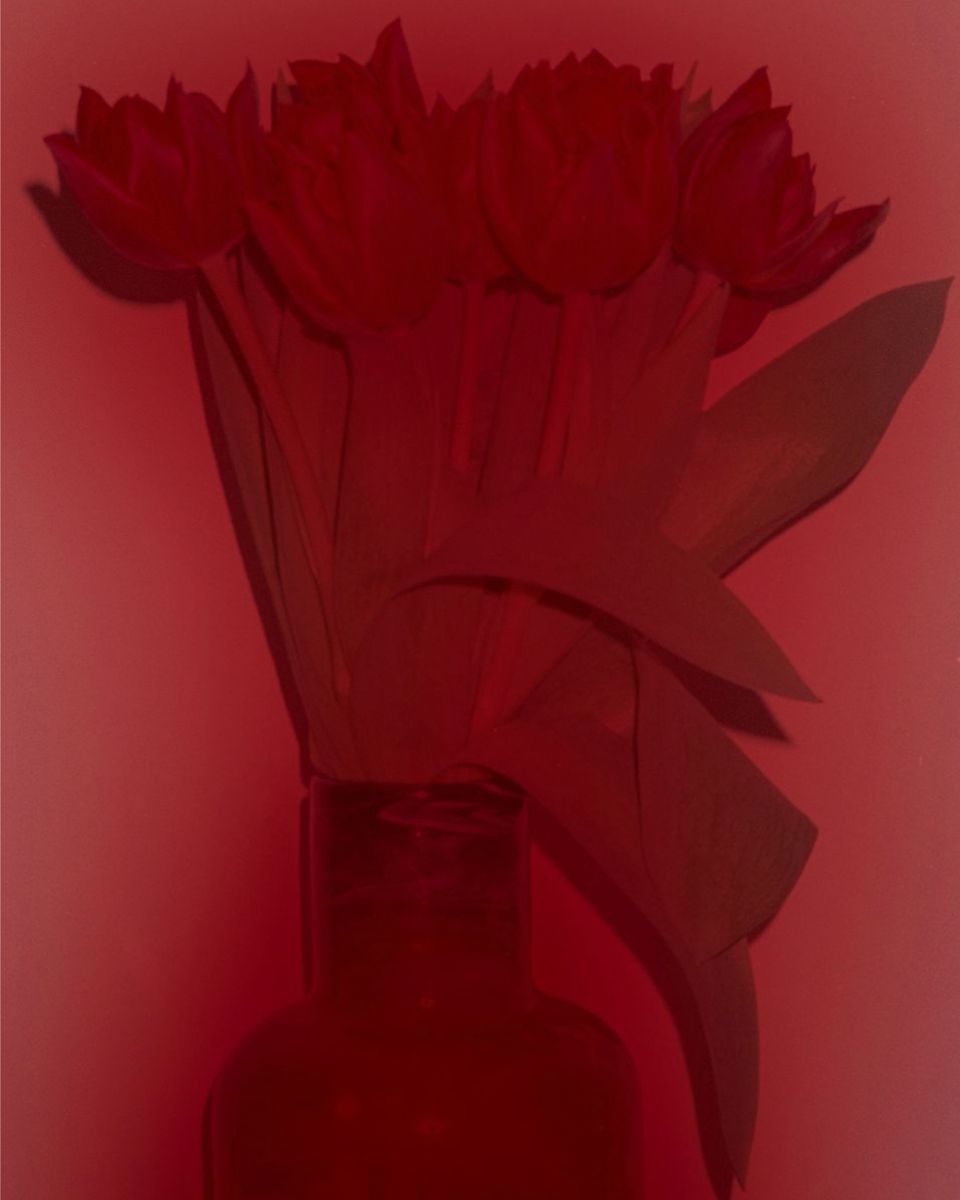 Tulipes